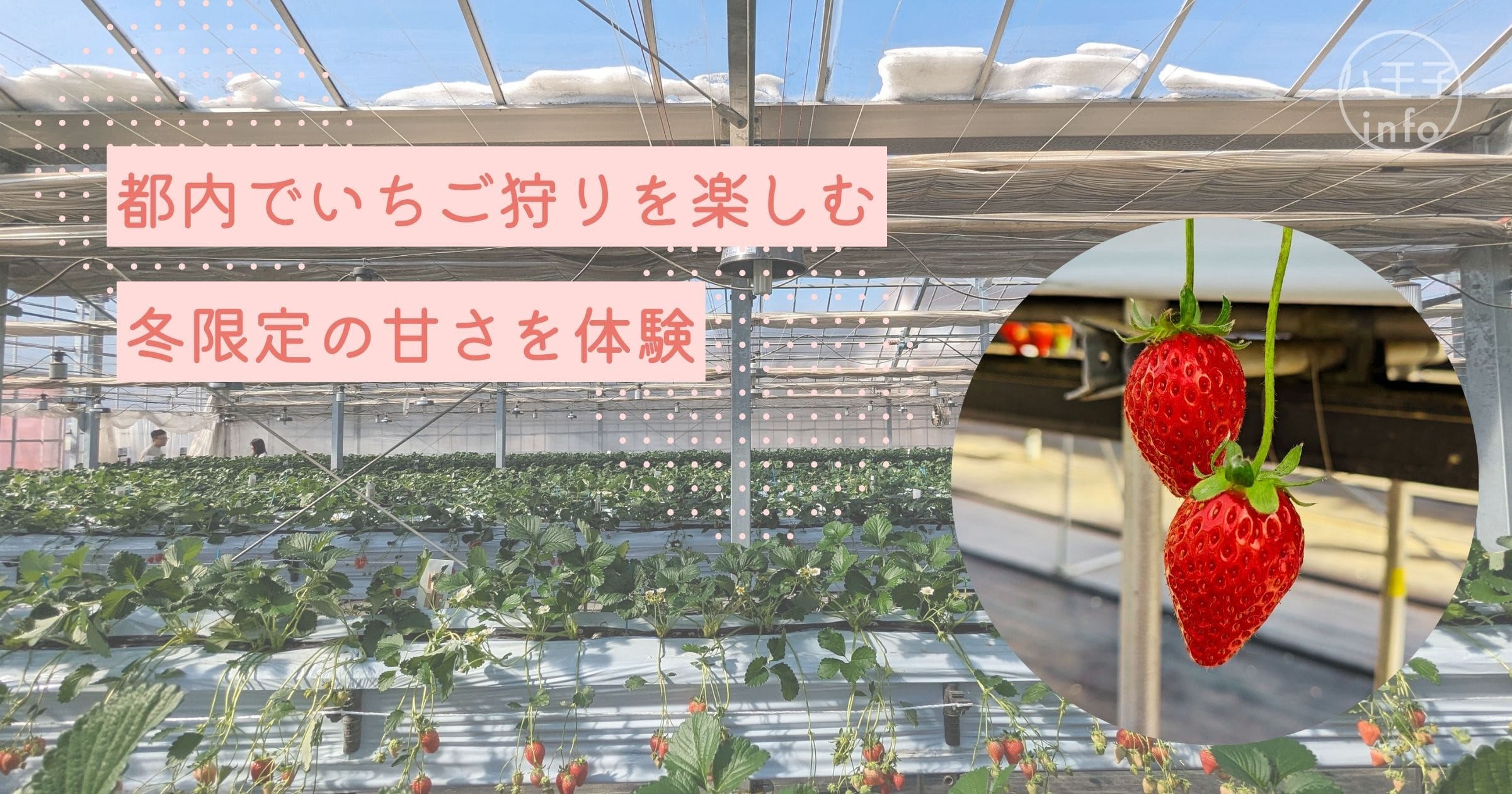 いちご 狩り 八王子